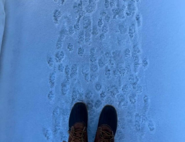 randompics627_078