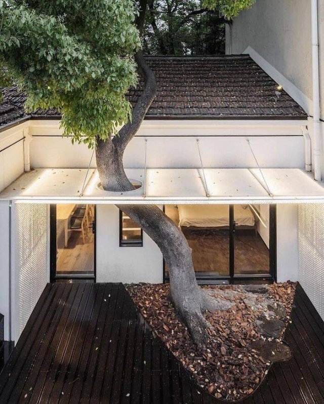 cooldesigns5_023