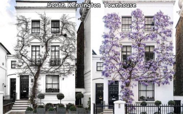 cooldesigns5_034
