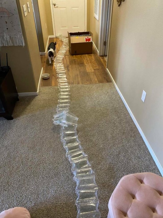 excessivepackaging_006