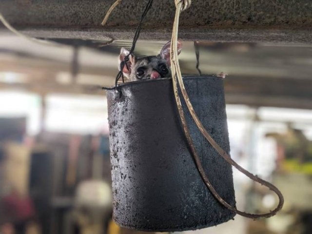 exploreaustralia_004