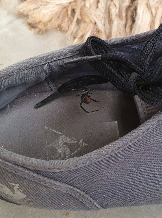 exploreaustralia_006