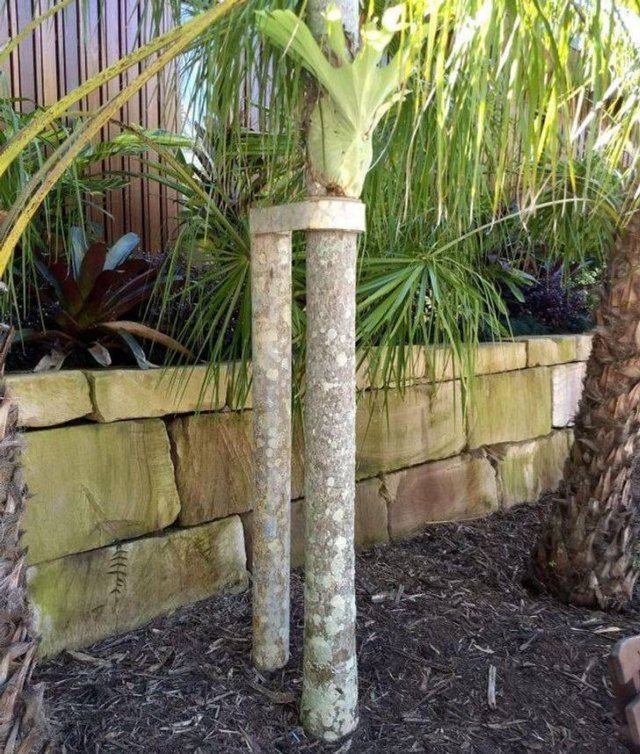 exploreaustralia_011