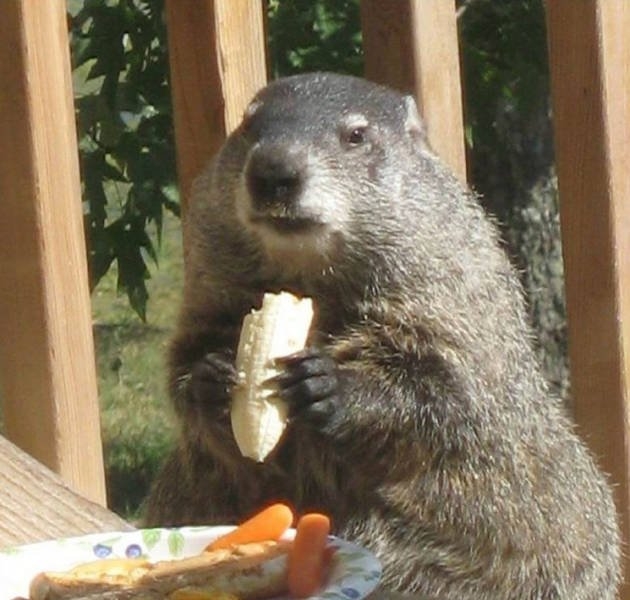 exploreaustralia_027