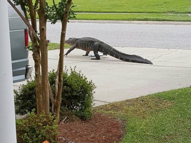 exploreaustralia_029