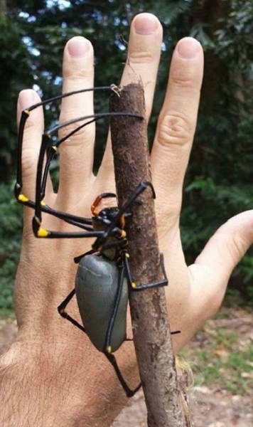 exploreaustralia_032