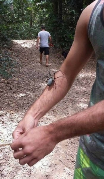 exploreaustralia_039