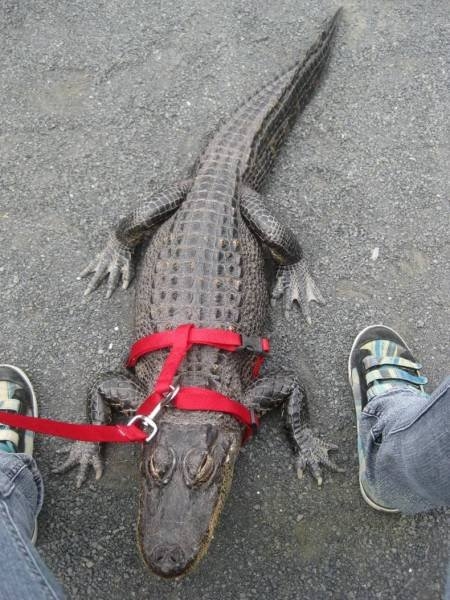 exploreaustralia_041