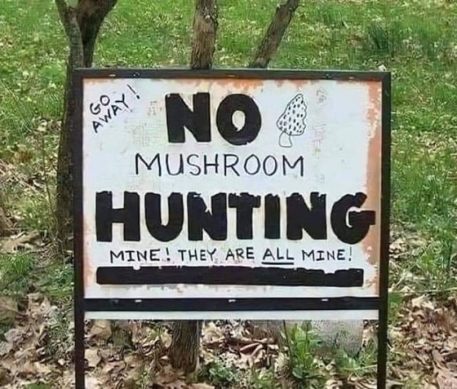 funnysigns5_004