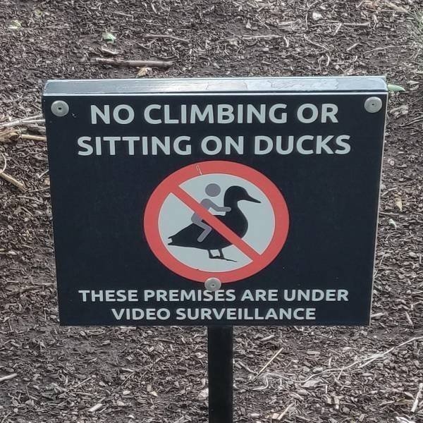 funnysigns5_026