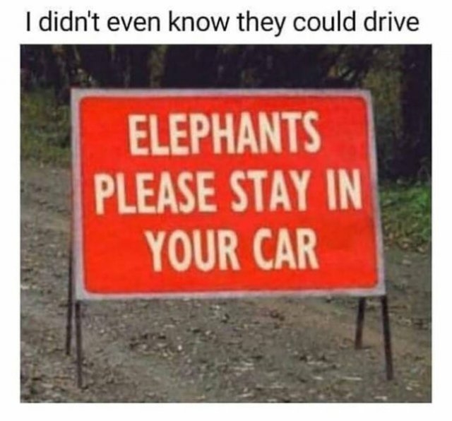 funnysigns6_014