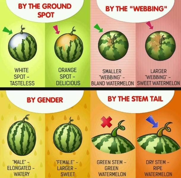 interestingdata25_001