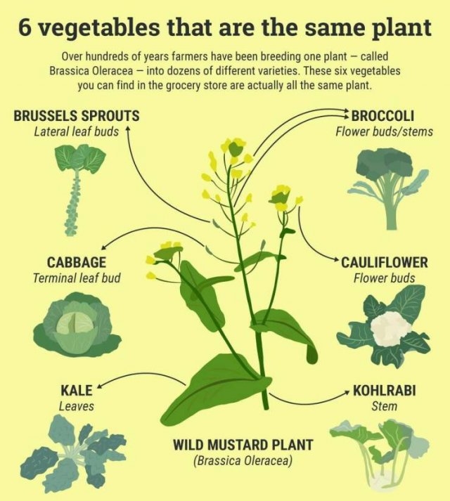 interestingdata25_013