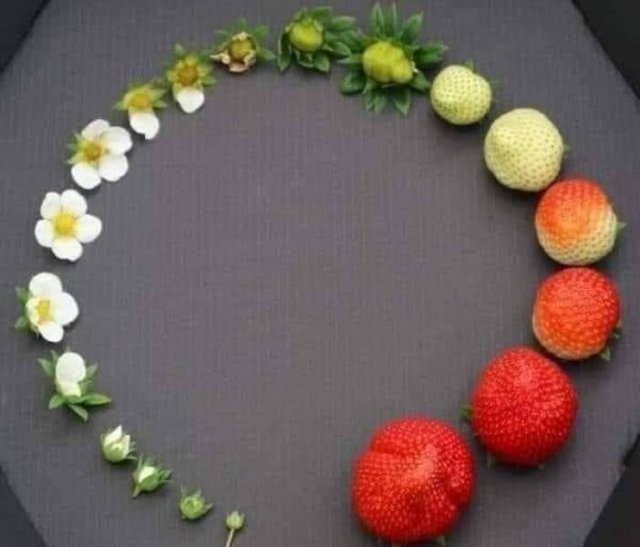 interestingdata25_019