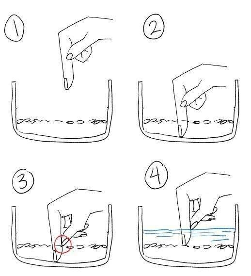 interestingdata25_033