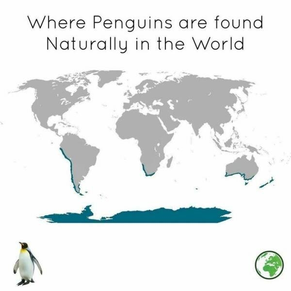 interestingmaps2_008