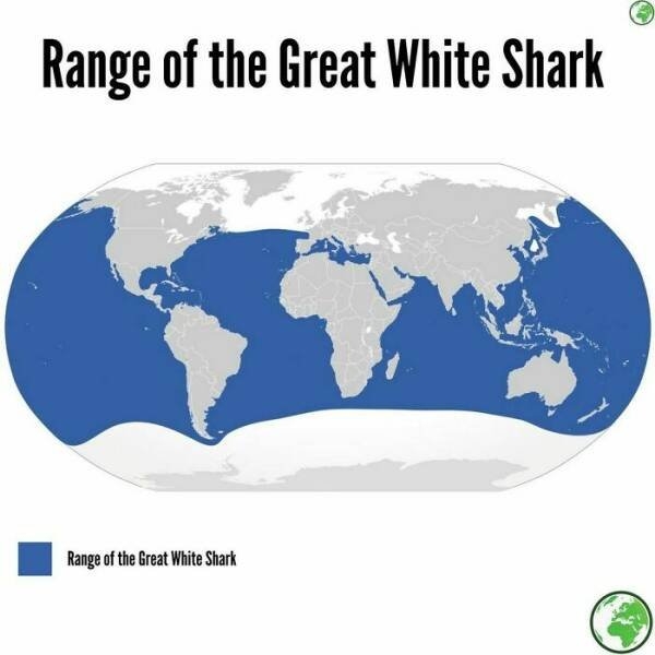 interestingmaps2_021