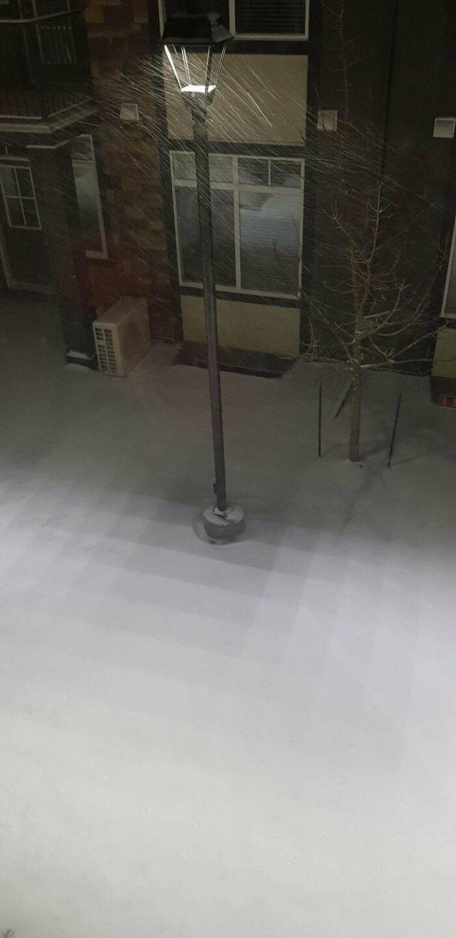 opticalillusions2_014