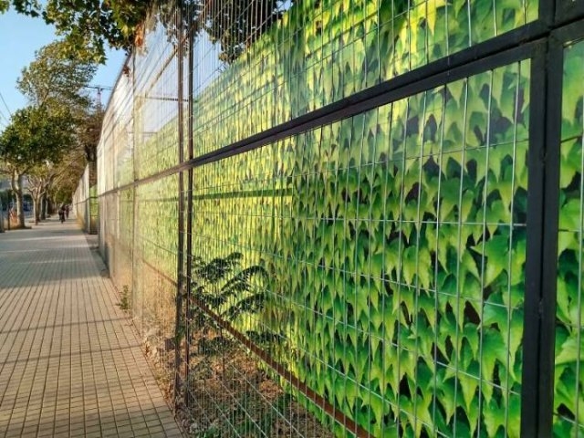 opticalillusions2_039