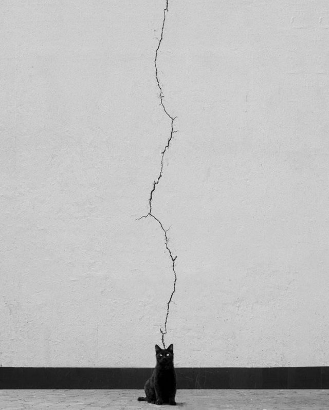perfectphotos13_013
