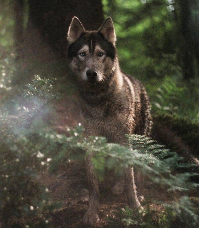 randompics646_063