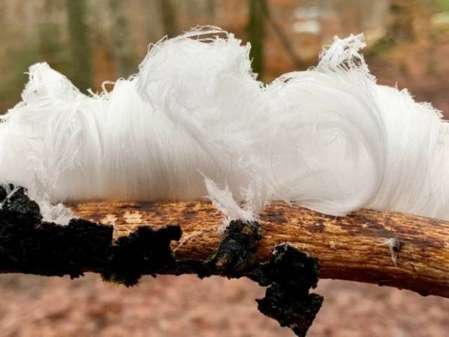 randompics646_073