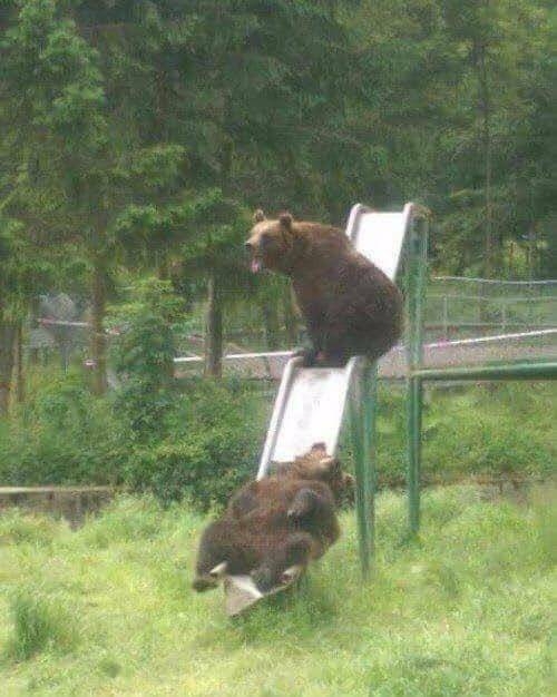 randompics647_066