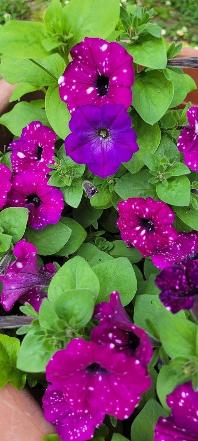 randompics662_078