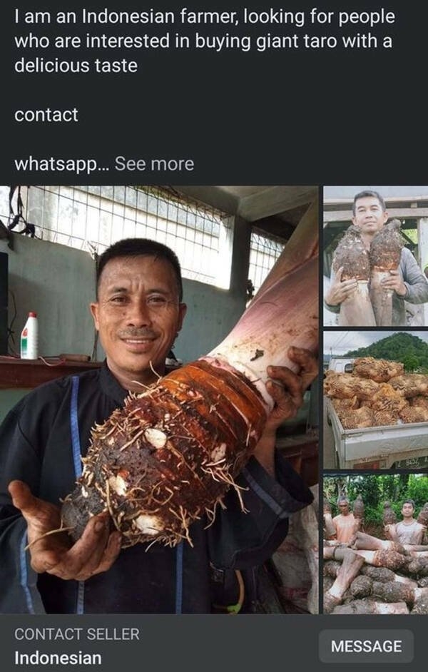 strangeproducts2_015