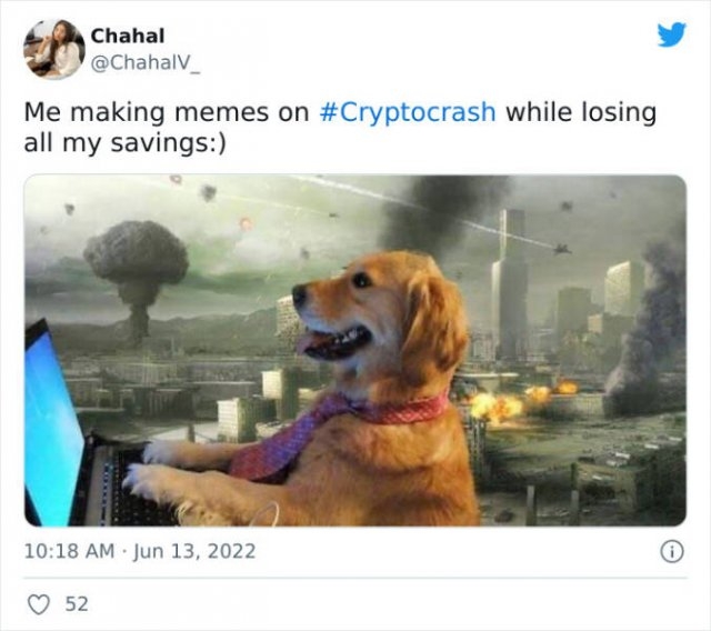 cryptocrashmemes_006