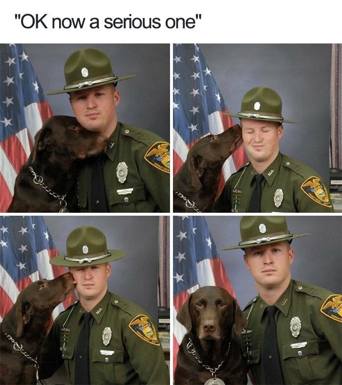 dogmemes4_031