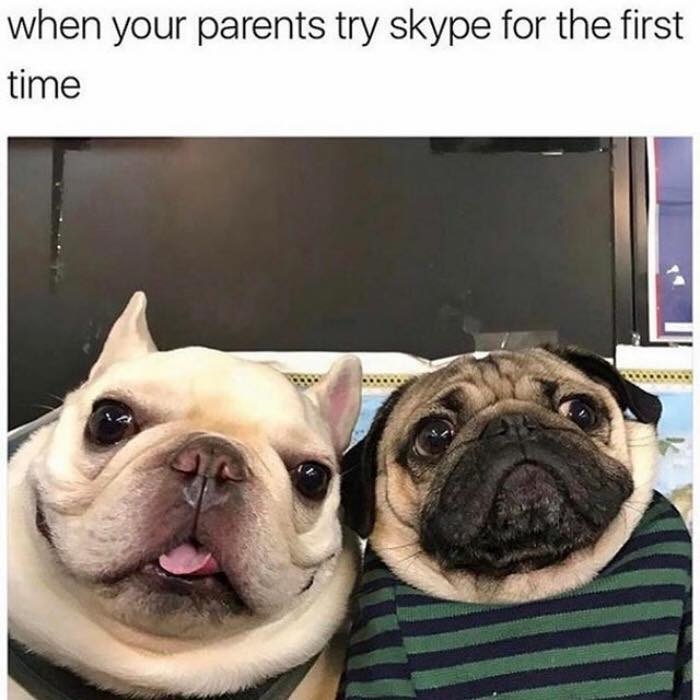 dogmemes4_033