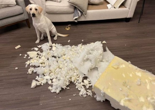 fails45_009
