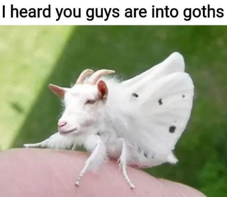 funnymemes113_020