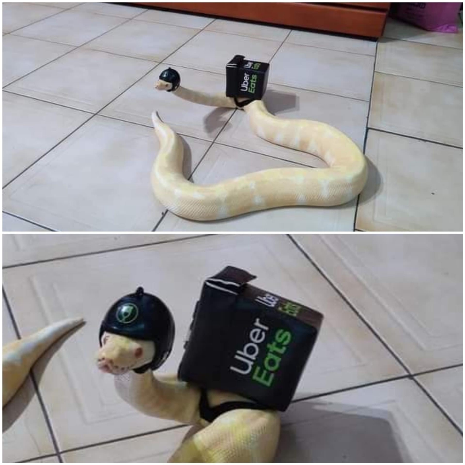 funnymemes113_021