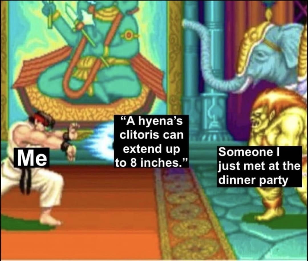 funnymemes114_002