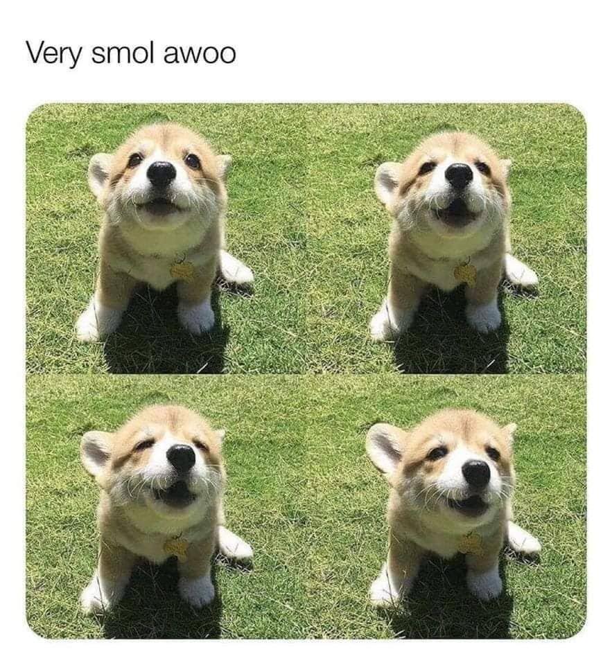 funnymemes114_004
