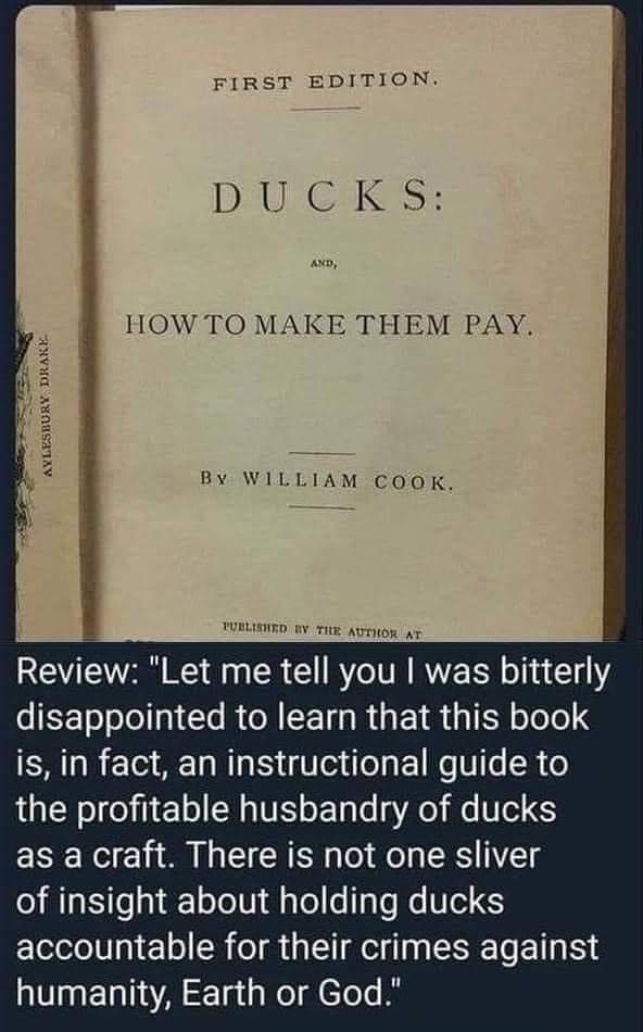 funnymemes114_005