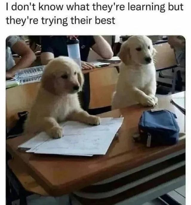 funnymemes114_017