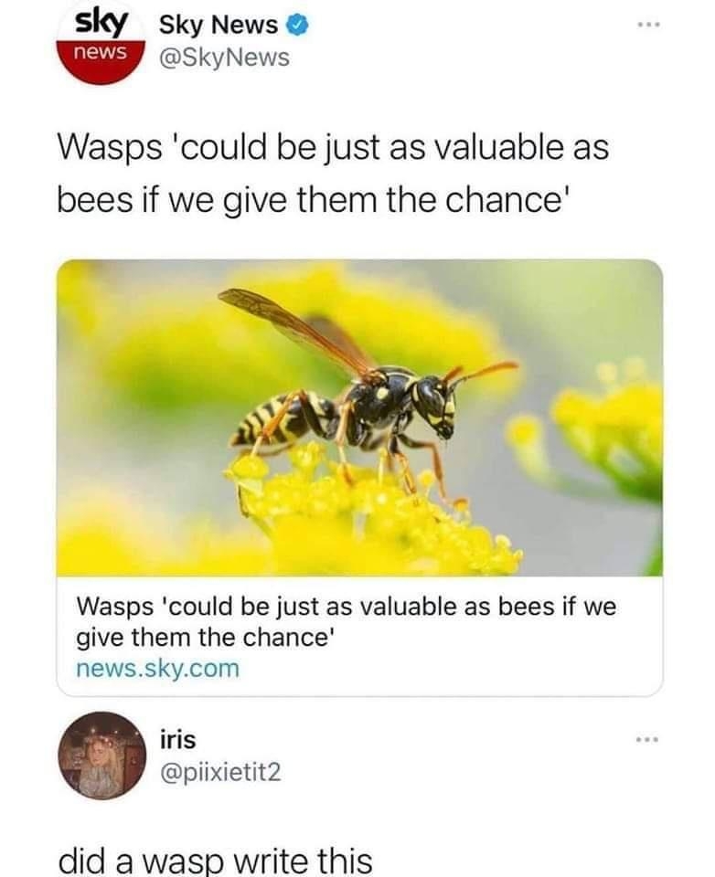funnymemes114_022