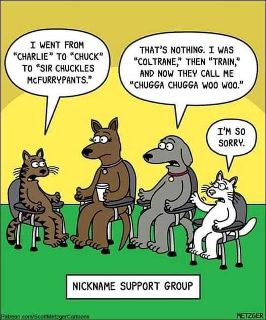 funnymemes114_035