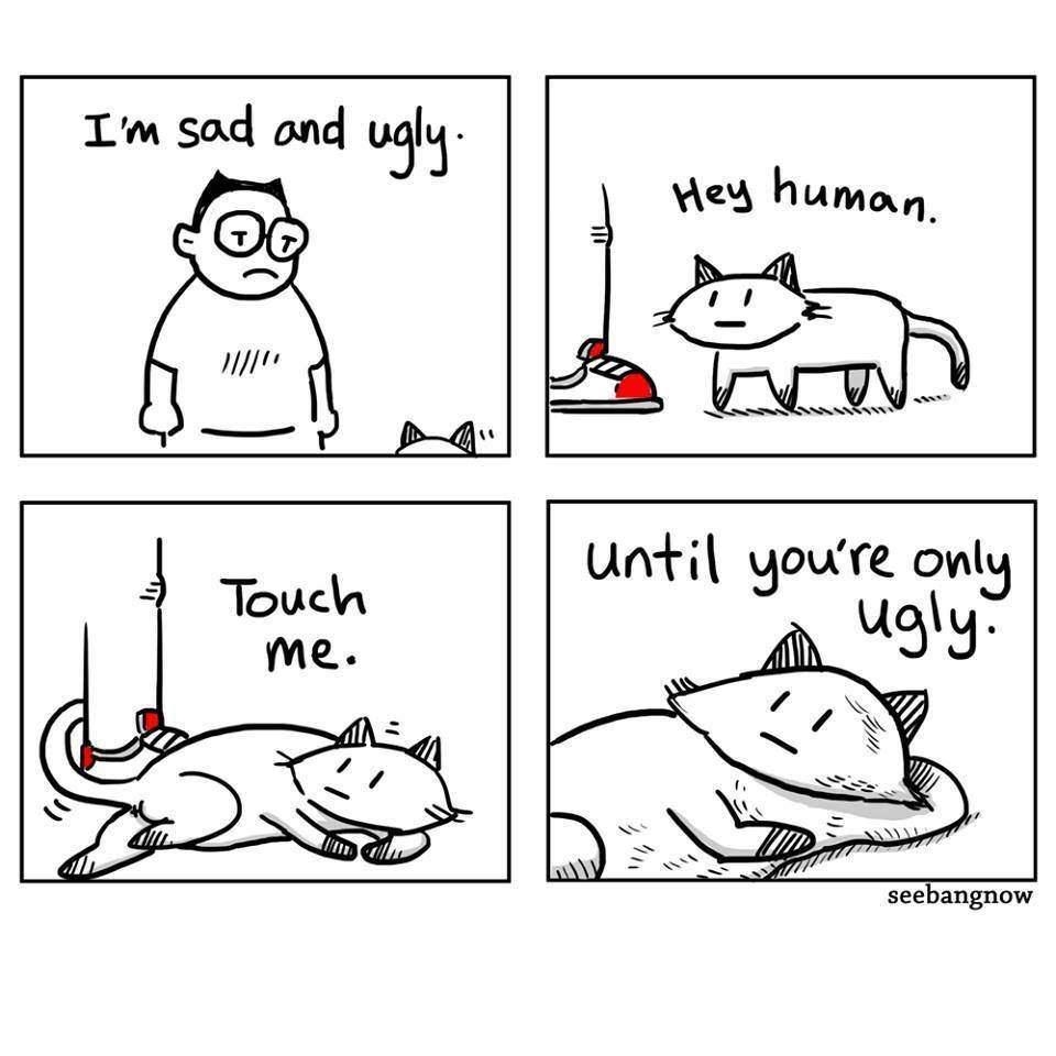 funnymemes125_005