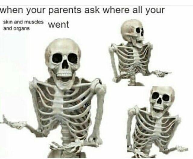 funnymemes125_011