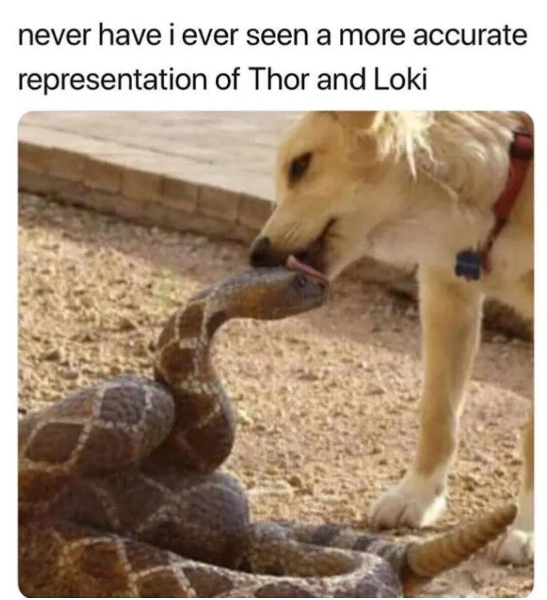 funnymemes125_022