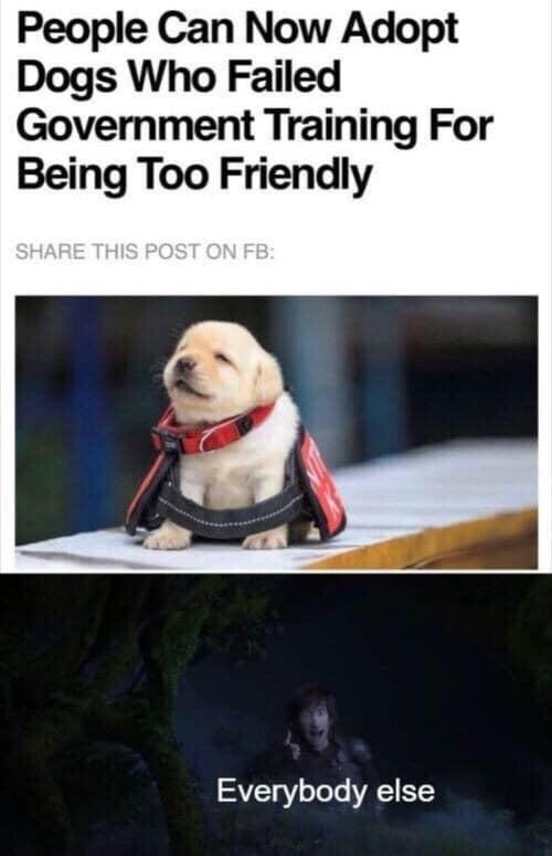funnymemes125_043