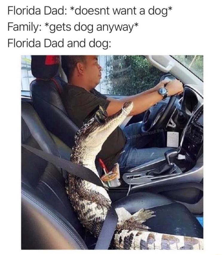 funnymemes126_015