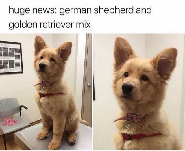 funnymemes126_023