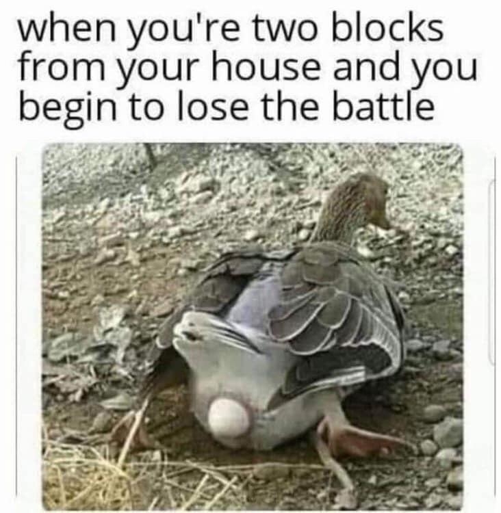funnymemes126_030