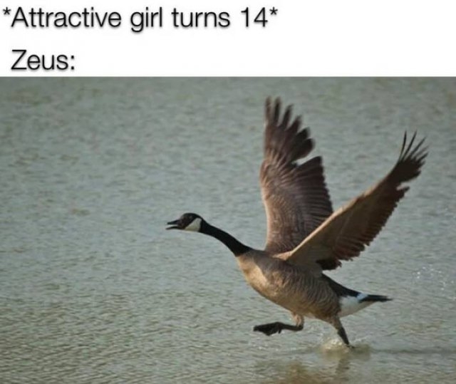 historicalmemes_017