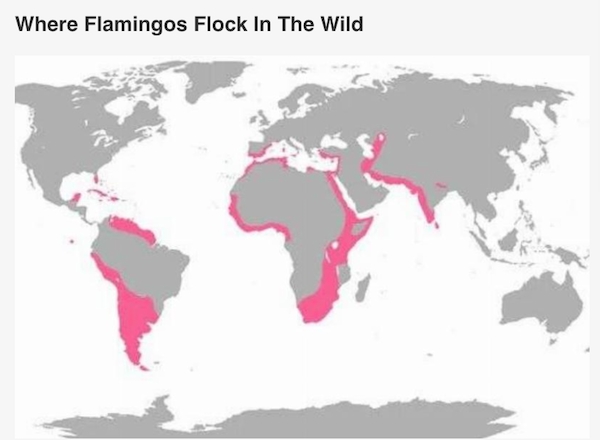 interestingmaps4_006